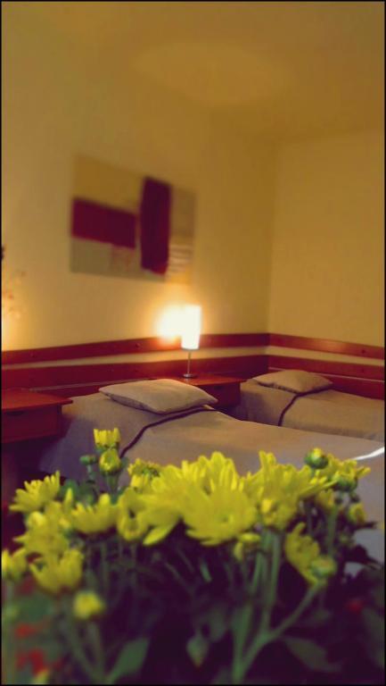 The Zen Hostel - Posticum Oradea Kamer foto
