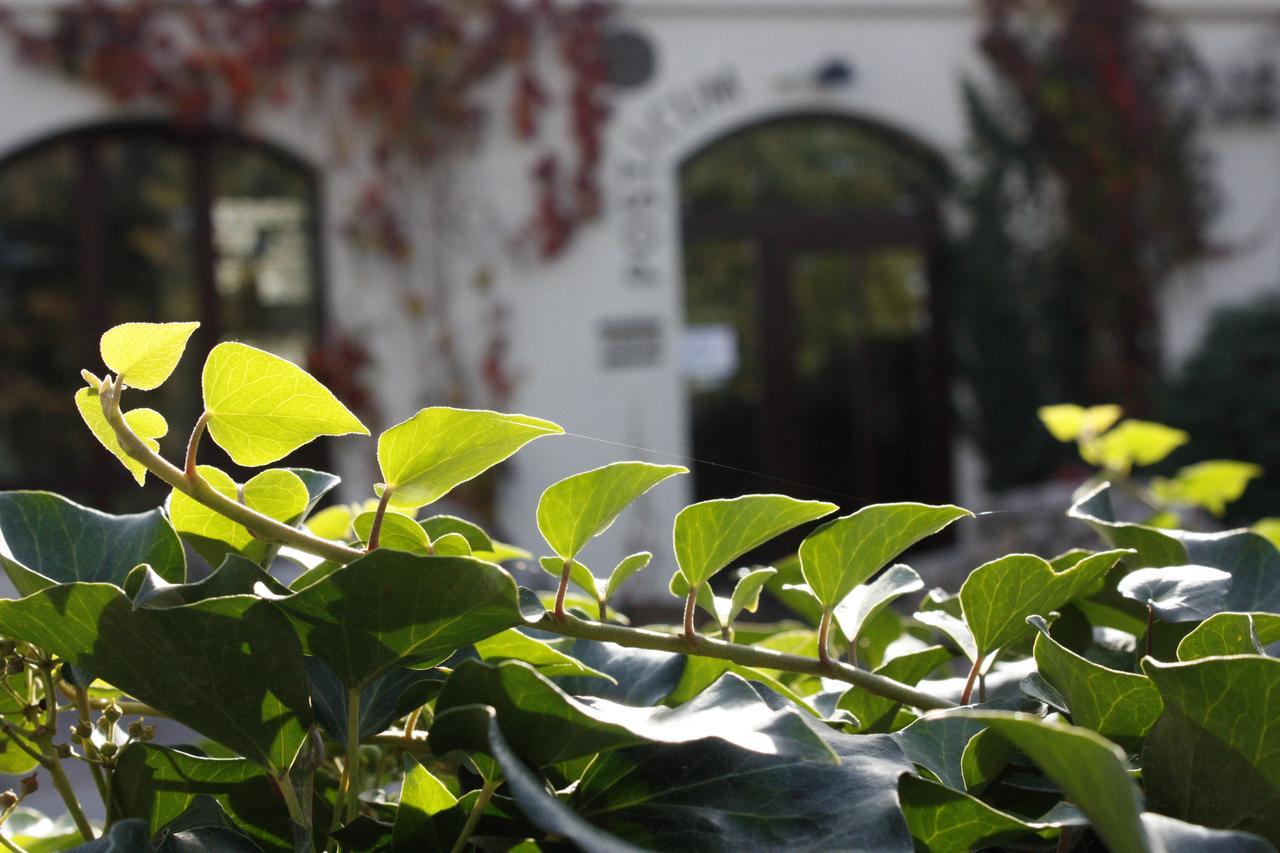 The Zen Hostel - Posticum Oradea Buitenkant foto