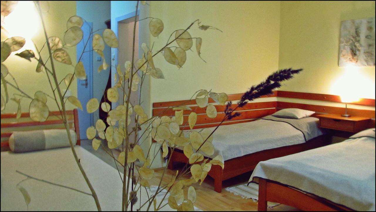 The Zen Hostel - Posticum Oradea Buitenkant foto