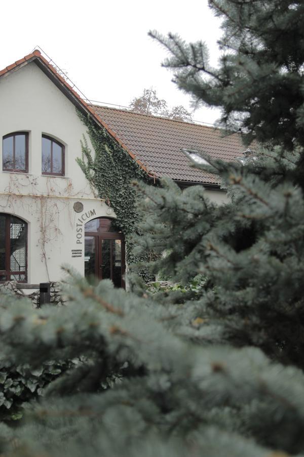 The Zen Hostel - Posticum Oradea Buitenkant foto